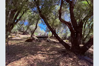 2021 Cedarville Road, Somerset, CA 95684 - Photo 32