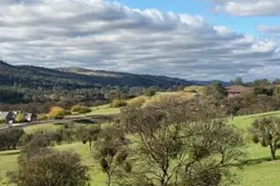 184 Quail Creek Terrace, Copperopolis, CA 95228 - Photo 12