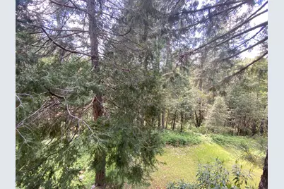 6950 Fools Canyon Road, Georgetown, CA 95634 - Photo 8