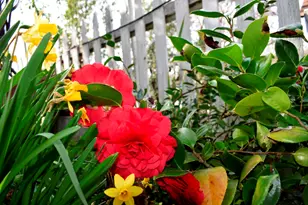 126 Center St, Jackson, CA 95642 - Photo 82