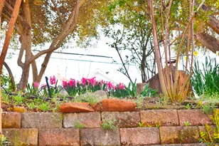 126 Center St, Jackson, CA 95642 - Photo 78