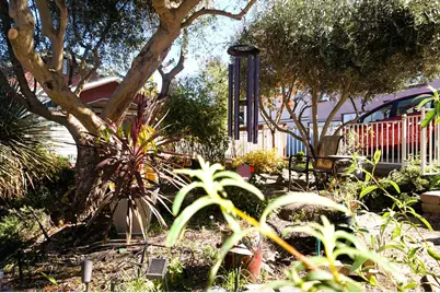 126 Center Street, Jackson, CA 95642 - Photo 92