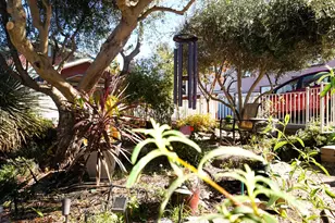 126 Center St, Jackson, CA 95642 - Photo 92