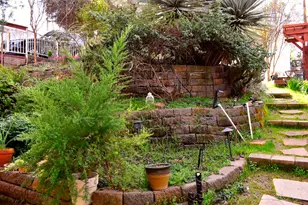 126 Center St, Jackson, CA 95642 - Photo 80