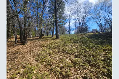 23470 Pack Trail, Sonora, CA 95370 - Photo 10