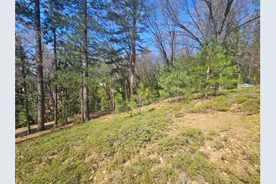 23470 Pack Trail, Sonora, CA 95370 - Photo 4