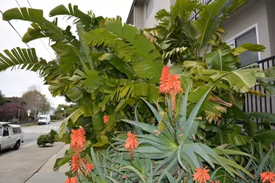 220 Atlantic Avenue #204, Santa Cruz, CA 95062 - Photo 36