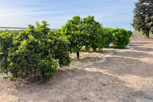 7484 Dusty Ln, Modesto, CA 95357 - Photo 40