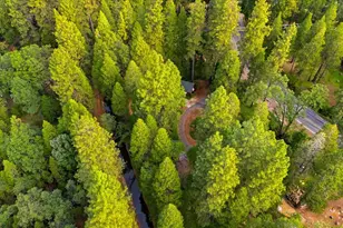 10085 Banner Lava Cap Rd, Nevada City, CA 95959 - Photo 54