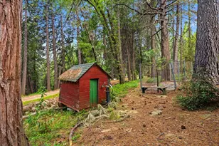 10085 Banner Lava Cap Rd, Nevada City, CA 95959 - Photo 50