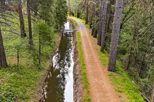 10085 Banner Lava Cap Rd, Nevada City, CA 95959 - Photo 46