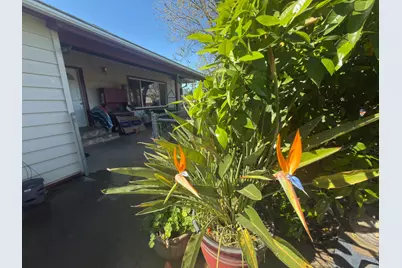 2191 Archer Avenue, Live Oak, CA 95953 - Photo 14