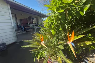 2191 Archer Ave, Live Oak, CA 95953 - Photo 14