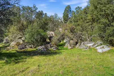 4251 Burl Drive, Mariposa, CA 95338 - Photo 14