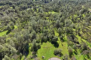 4251 Burl Dr, Mariposa, CA 95338 - Photo 1