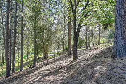 2065 Hotchkiss Court, Cool, CA 95614 - Photo 88