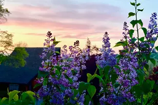 10800 Pickle Barrel Rd, Auburn, CA 95602 - Photo 78