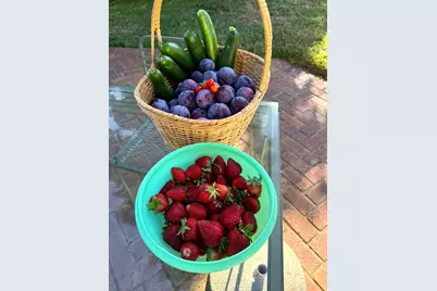 10800 Pickle Barrel Road, Auburn, CA 95602 - Photo 82