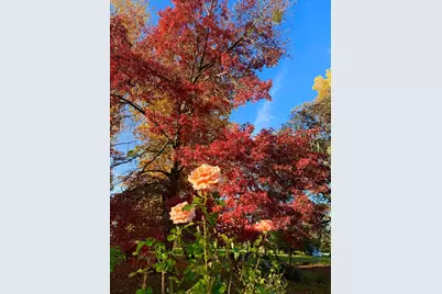 10800 Pickle Barrel Road, Auburn, CA 95602 - Photo 76