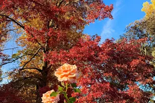 10800 Pickle Barrel Rd, Auburn, CA 95602 - Photo 76