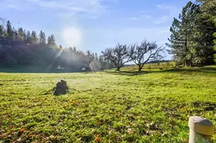 19634 Hwy 26, West Point, CA 95255 - Photo 34