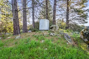 19634 Hwy 26, West Point, CA 95255 - Photo 28