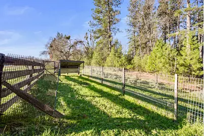 19634 Highway 26, West Point, CA 95255 - Photo 30