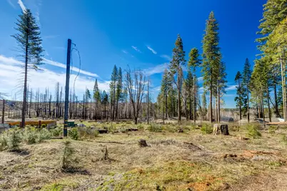 7591 Winding Way, Grizzly Flats, CA 95636 - Photo 4