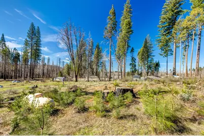 7591 Winding Way, Grizzly Flats, CA 95636 - Photo 6