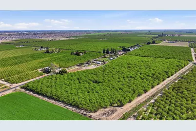 23131 Tinnin Road, Manteca, CA 95337 - Photo 4