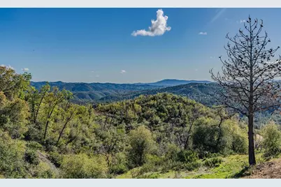 9515 Ham Luddy Road, Mountain Ranch, CA 95246 - Photo 66