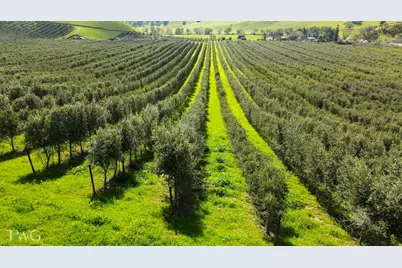 18615 Marsh Creek Road, Brentwood, CA 94513 - Photo 8