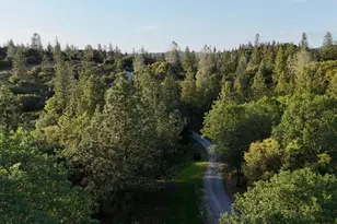 10095 Birchville Rd, Nevada City, CA 95959 - Photo 32