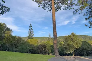 10095 Birchville Rd, Nevada City, CA 95959 - Photo 24