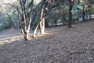 110 Gold Dust Trail, Sutter Creek, CA 95685 - Photo 1