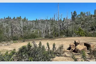 0 18675 Old Greek Mine Road, Mokelumne Hill, CA 95245 - Photo 4