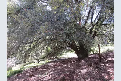 16670 Delores Court, Pioneer, CA 95666 - Photo 14