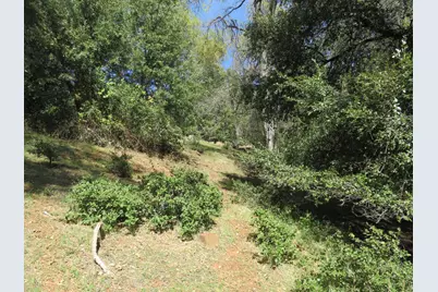 16670 Delores Court, Pioneer, CA 95666 - Photo 20