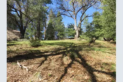 16670 Delores Court, Pioneer, CA 95666 - Photo 1