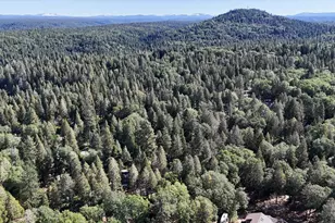 12523 Banner Lava Cap Rd, Nevada City, CA 95959 - Photo 46