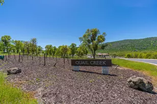 157 Quail Creek Terrace, Copperopolis, CA 95228 - Photo 74