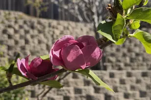 2557 Creek Hollow Rd, Rocklin, CA 95765 - Photo 24