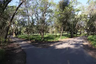 1318 Susan Cir, Roseville, CA 95661 - Photo 34