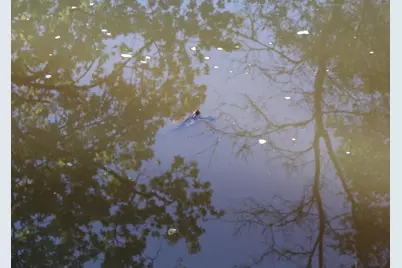 1318 Susan Circle, Roseville, CA 95661 - Photo 28