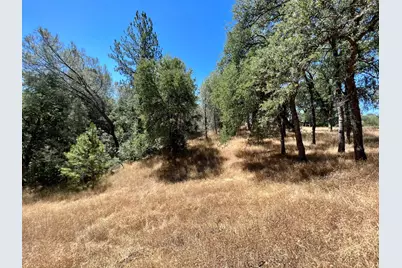 26 Cedar Pines Drive, Fiddletown, CA 95629 - Photo 30