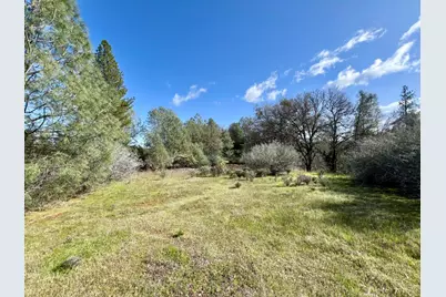26 Cedar Pines Drive, Fiddletown, CA 95629 - Photo 8