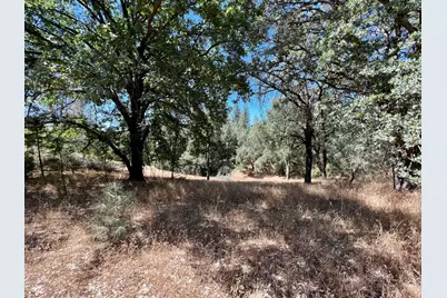 26 Cedar Pines Drive, Fiddletown, CA 95629 - Photo 20