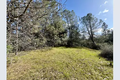 26 Cedar Pines Drive, Fiddletown, CA 95629 - Photo 10