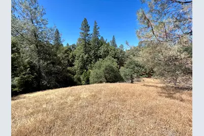 26 Cedar Pines Drive, Fiddletown, CA 95629 - Photo 22