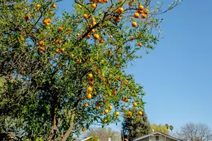 118 5th St, Woodland, CA 95695 - Photo 52